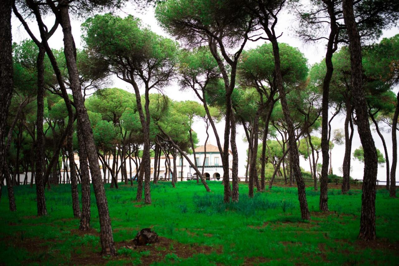 Hotel Oromana Alcalá de Guadaira Exteriér fotografie